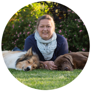 Claudia-Barkow-Niebüll-Hundetraining